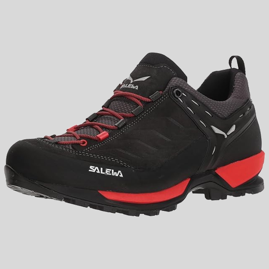 Chaussure randonnée basse Salewa Mountain Trainer GTX