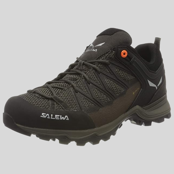 Chaussure randonnée basse Salewa Mountain Trainer Lite GTX