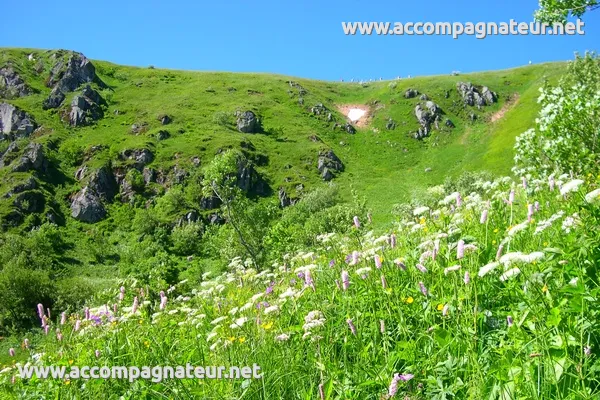 Randonnée Gaschney Schiessrothried Wormspel Hohneck Randonnée Gaschney Hohneck : la combe du Wormspel