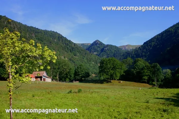 Randonnée au Hohneck depuis Metzeral par la Vallée de la Wormsa Randonnée au Hohneck depuis Metzeral par la Vallée de la Wormsa